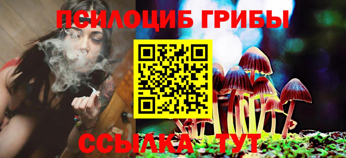 закладки  Псилоцибиновые грибы Cubensis  Галлюциногенные грибы Magic Shrooms  Вход с VPN  Всеволожск 